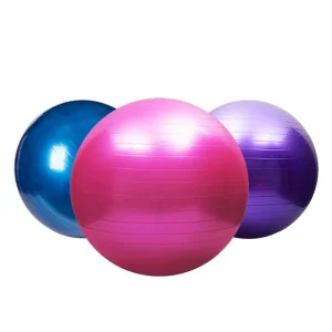 25cm 45Cm 55Cm 65Cm 75Cm 85Cm Exercise Balance PVC Anti-Burst Massager Yoga Ball with Cover