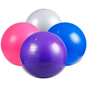 55cm Fitness PVC Exercise Ball for Home Gym Balance Yoga Therapy for Pregnancy Physical Rehabilitation