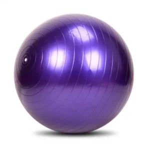 55cm PVC Yoga Ball Explosion Proof Thickened Back Support Exercise Dance Fitness Ball
