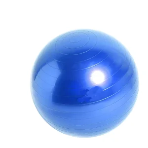 65 cm Big Balance Yoga Ball Thick PVC Plain Gym Ball Without Pump