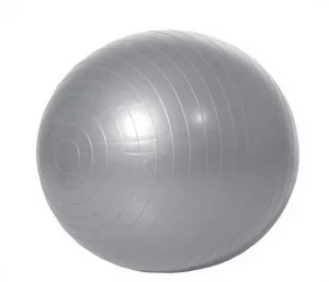 65 cm Diameter PVC 6mm Thick Durable Exercise Yoga Ball