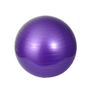 65CM Custom Color OEM PVC Eco Friendly Anti Burst Yoga Ball Pilates Gym Fitness Exercise Balance Fitness Non Slip Training