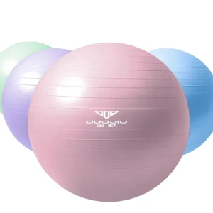 65CM Soft Eco-Friendly Anti-Burst Matte Surface Non-Slip Fitness Gym Yoga Ball Air Pump PVC Training Ball for Balance Beam Yoga
