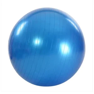 65cm Dia Yoga Ball Exercise Ball