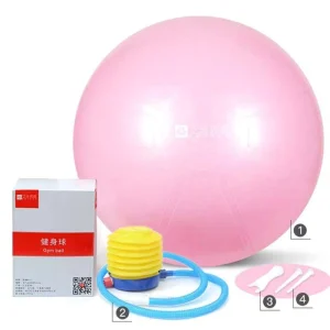 65cm Diameter Anti-burst PVC Fitness Yoga Ball with Air Pump