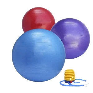 65cm Size Anti-burst Pilates Gym Ball Stability PVC Yoga Ball with Pump