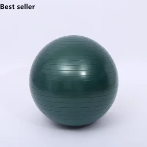 Anti Burst Balance Exercise Ball Customized 45cm 55cm 65 cm with Hand Pump GYM Yoga Ball
