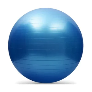 Anti Burst Gym Exercise Yoga Ball for Lose Weight