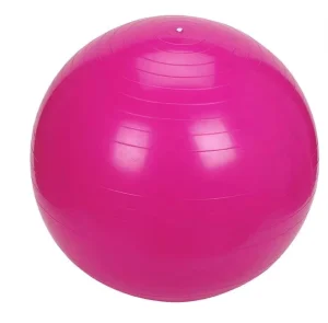 Anti Slip Anti Burst Indoor Gym Fitness Exercise Ball PVC Training Yoga Ball