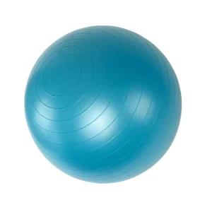 Antiburst Gym Ball 65cm PVC Yoga Ball Swiss Ball