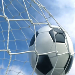 Ball Protection Net Nylon Safety Football Net For Sale