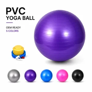Balle De Yoga 65cm for Pregnancy Exercise Core Balance Posture Support and Full Body Stability Training