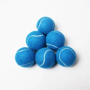 Blue Padel Cricket Tennis Balls for Training