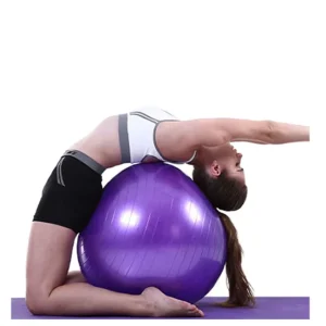 Colorful Yoga Ball Chair Exercise Fitness Gym Swiss Ball Cover With Air Pump Inflate