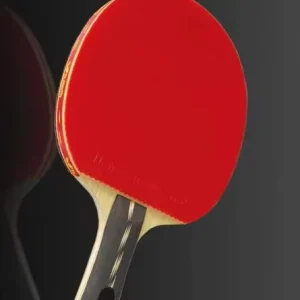 Competition High Control Professional Table Tennis Paddle Customized Table Tennis Racket