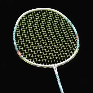 Competitive Price Sport Training Badminton Racket Set