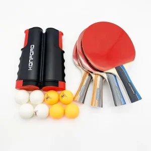 Custom 3 4 5 Star Ping Pong Paddle Printed Logo T.T. Bat Plus Approved ITTF Premium Table Tennis Racket Set With Storage