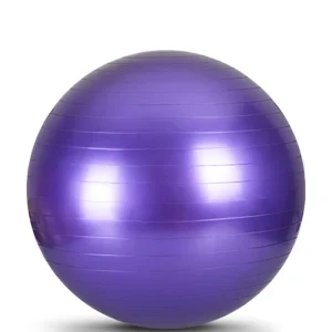Custom Anti burst Exercise Balance Stability Fitness Yoga Ball with air Pump
