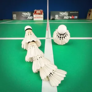 Custom Duck Feather Badminton Shuttlecocks 3 Piece Straight Feather 2 Layer Stable Lightweight High Durability Training