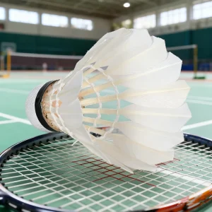 Custom Duck Feather OEM Badminton Shuttlecock