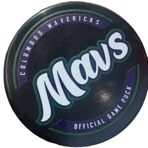 Custom High Performance Ice Hockey Equipment with Durable Silicone Rubber Puck