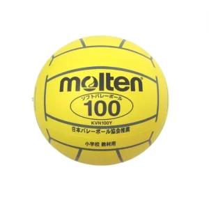 Custom Inflatable Pvc Toy Story Beach Soccer Balls in Bulk