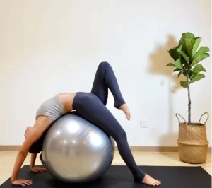 Custom Logo Printed Anti Burst Yoga Ball Big Core Pilates Exercise Fitness Gym 65 cm Yoga Ball