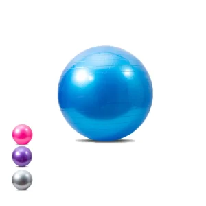 Custom Logo Professional Grade Yoga Gym Ball 200 Kg Bearing Exercise Equipment for Office Home Gym