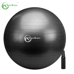 Custom Logo REACH Passed Anti Burst Exercise Swiss Ball 55cm 65cm 75cm 85cm Eco PVC Yoga Ball With Pump