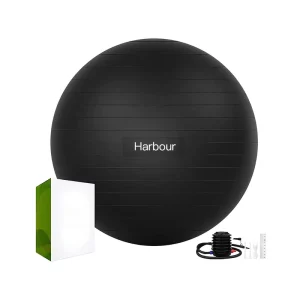 Custom PVC Big Black Yoga Balls Exercise Ball for Yoga 55cm 65cm with Air Lift