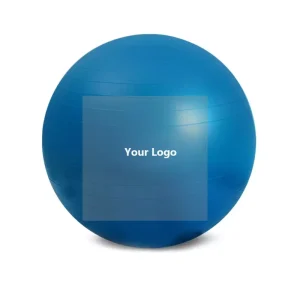 Customize Logo Eco-friendly Exercise Pilates Ball PVC Material Gym Yoga Ball 65CM