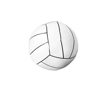 Customized Inflatable PVC Ball Sports Toy for Beach Entertainment Plastic Water Park Inflatable Toy