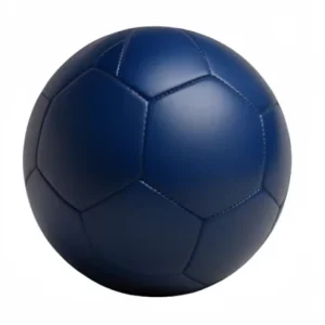 Customized Logo Factory 5 Inch Diameter 22cm Adult Outdoor Football