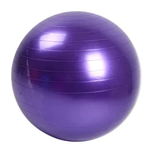 Customized Logo and Color Indoor Training 65 cm Gym Yoga Ball for Pregnant Women