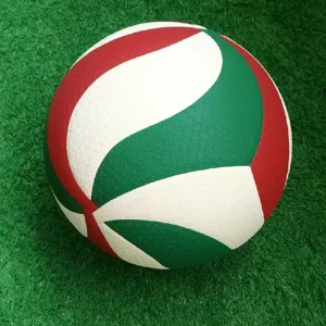 Customized Size 5 Durable Heat Sealed Volleyball for Adult Training Competition Soft Leather
