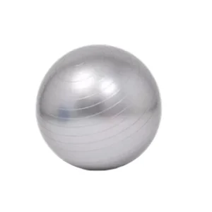 D65cm Professional PVC Yoga Ball for Fitness Training Explosion Proof Gym Ball with Air Pump and Inflation Needle for Studios