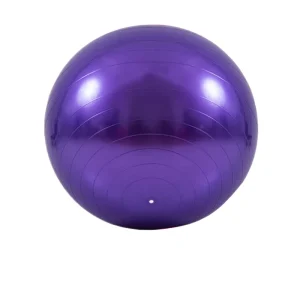 D75cm Thickened PVC Professional Yoga Ball for Fitness Training Gym Balls with Air Pump Inflation Needle Explosion-Proof
