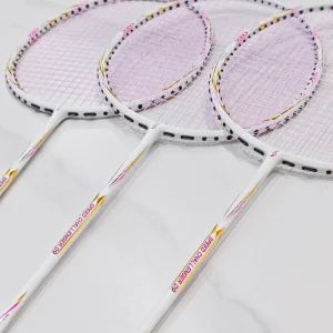 Dmantis Badminton Racket Set Factory Offer Carbon Fiber Frame for Play and Training