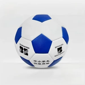 Durable PU Leather Size 5 Machine Stitched Soccer Ball Economic Custom Logo Outdoor Training Wear Resistant Bounce