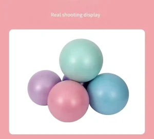 Eco friendly Yoga Ball Exercise Ball Gym Fitness Set Women