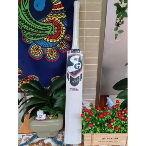 English Willow Cricket Bat