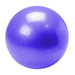 Exclusive Deal Durable Heavy duty Stability enhanced 55cm Yoga Ball for Professional Trainers and Physical Therapists