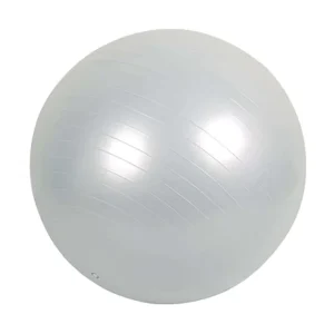 Exercise Yoga Gym Ball Bearing Exercise Equipment for Office & Home & Gym
