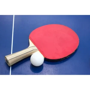 Factory Customized Ping Pong Paddle OEM