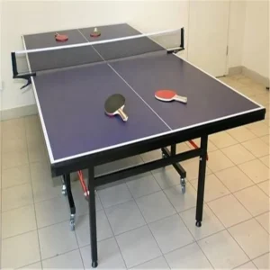 Factory Direct Professional Standard Indoor Table Tennis Table Set Indoor Use