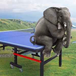 Factory Table Tennis Table Professional ITTF Competition Training Used Outdoor Ping Pong Table Tennis Board