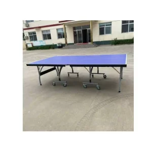 Factory directly supply table tennis double table