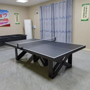 Family Home Use Ping Pong Table & Table Tennis Equipment