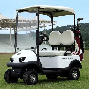 Family School Park Used Golf Buggy AX D2 G Standard Electric Golf Cart