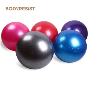 Fitness Gym Yoga Ball Set with Pump